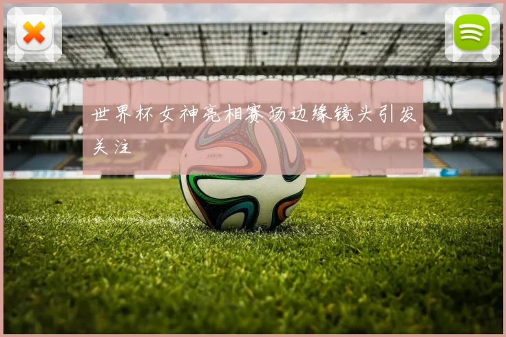 世界杯女神亮相赛场边缘镜头引发关注