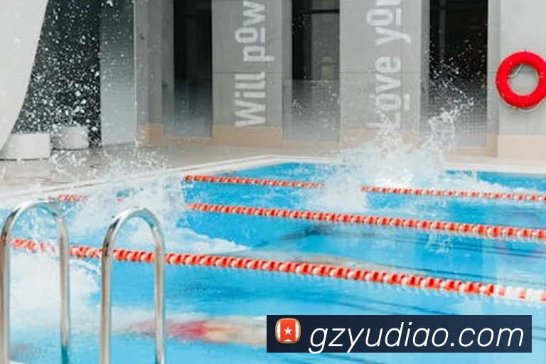 星空官网免费入口全站App